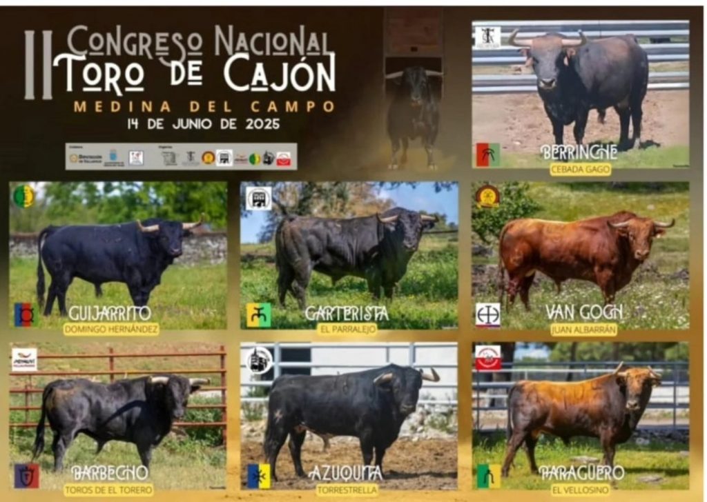 Congreso Toro de cajón Medina del Campo