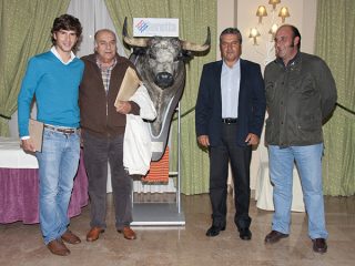 actividades-1