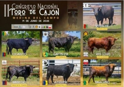 congreso nacional toro de cajon