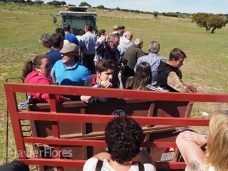 excursiones-1